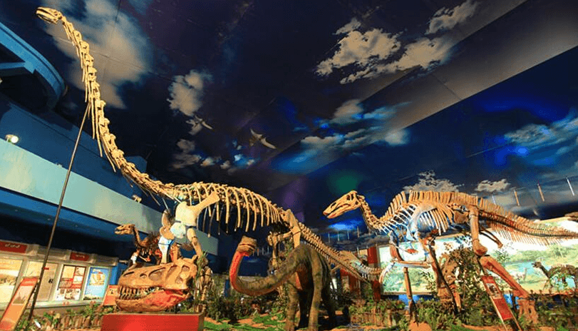 诸城恐龙博物馆景区小程序项目
