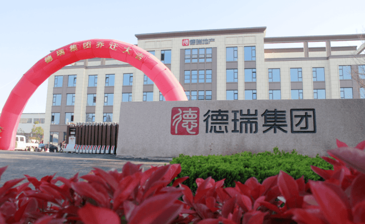 山东德瑞集团